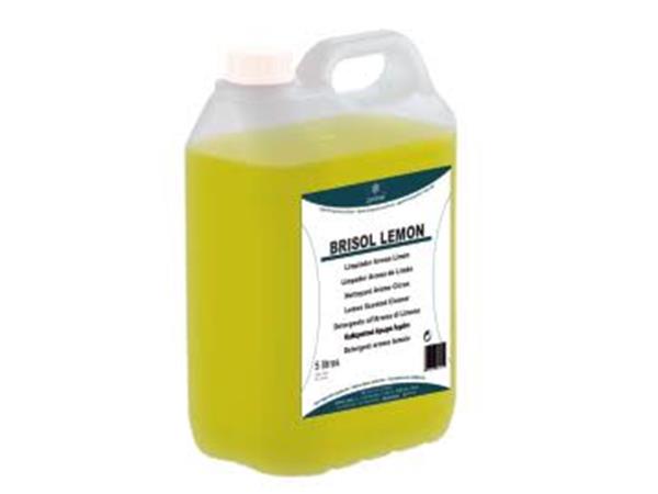 LIMPIADOR NEUTRO CON REPELENTE INSECTOS BRIXOL LEMON 5 LT.*C