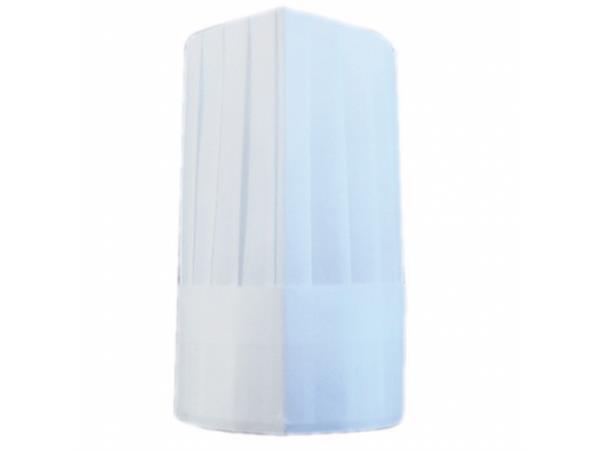 PAQ. 10 UNI. GORROS AJUSTABLES CLÁSICOS 26 CM BLANCO DRY TISSUE