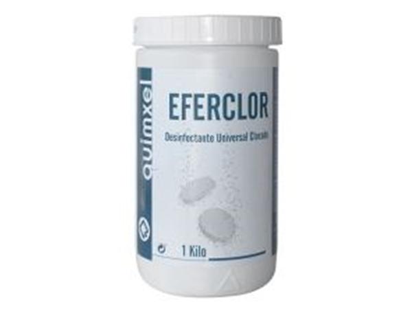 DESINFECTANTE CLORADO EFERCLOR BOTE 1 KG.