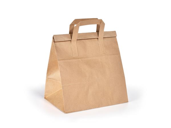 194777 CJ. 250 UNDS. BOLSA DE TRANSPORTE CON CIERRE MEDIUM 8,5 L. 240x170x290mm PAPEL MARRON