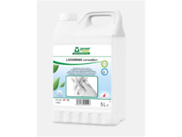 CREMA LIMPIADORA ECOLOGICA GREEN CARE LAVAMANI SENSATION 5 LT.
