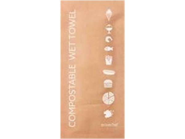 186992 CJ. 500 UNDS. TOALLITAS COMPOSTABLES 130x60mm