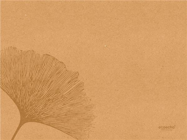 186532 CJ. 4PAQ. x 250 UNI. MANTELITO CELULOSA RECICLADO 30x40cm 80g/m² ORGANIC