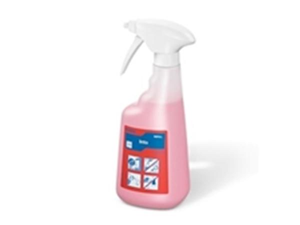 BOTELLA SERIGRAFIADA 650ML.: INTO