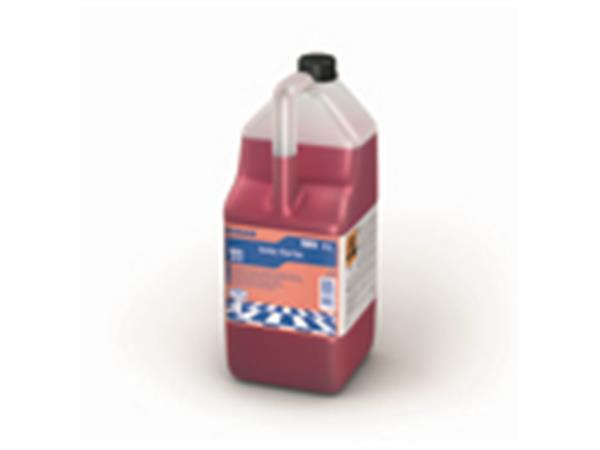 INTO FORTE 5 L*C