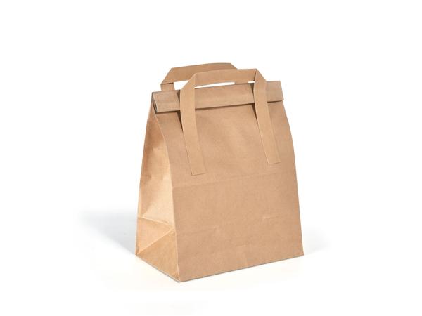 194776 CJ. 500 UNDS. BOLSA DE TRANSPORTE CON CIERRE SMALL 3L 180x110x265mm  PAPEL MARRON