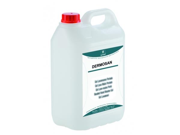 JABON DERMO ANTISEPTICO DERMOSAN 5 LTS.*C