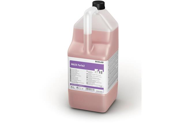 MAXX FORTE2 5LT. DECAPANTE DE SUELOS. *C